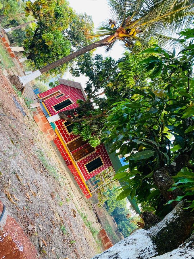 Вилла Pratik Mango Farm House Revadanda Экстерьер фото