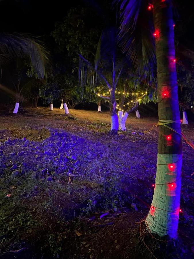 Вилла Pratik Mango Farm House Revadanda Экстерьер фото